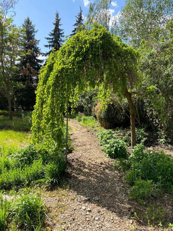 Hotel Garden Oleśnica Dış mekan fotoğraf